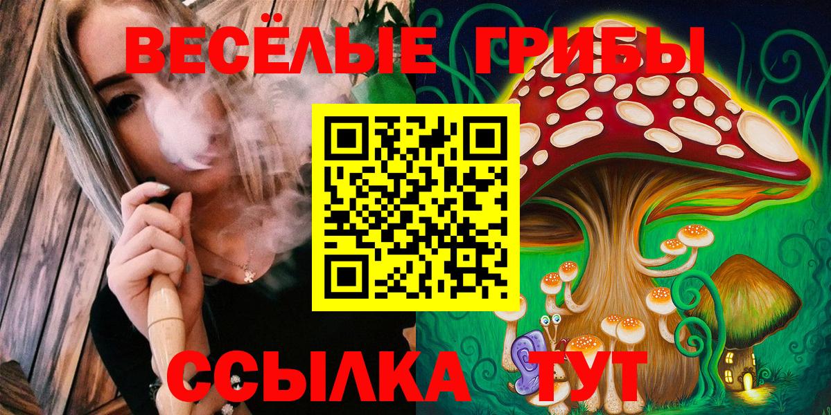 Сочи  Галлюциногенные грибы мухоморы  Вход с VPN 